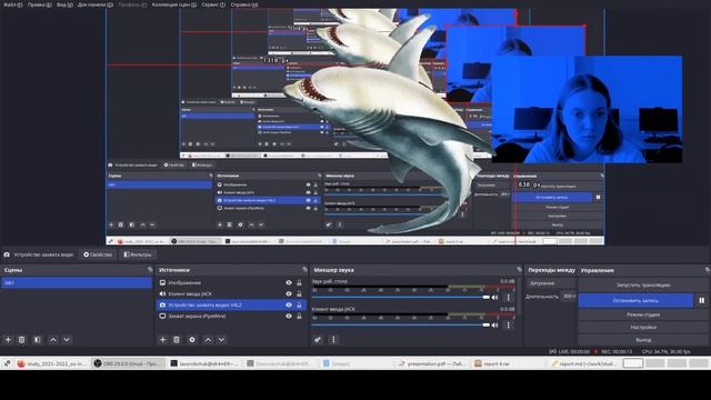 это отчет мд