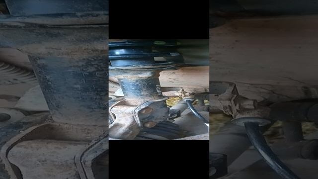 1000017194.mp4