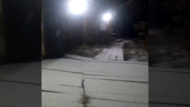 Снег первый