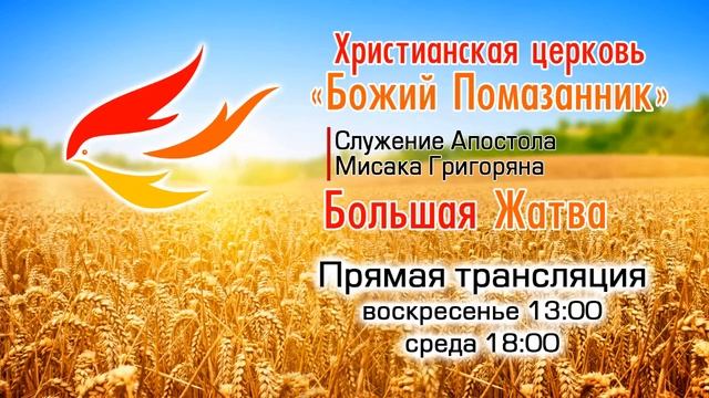 16.07.2017 - Прямой эфир -Армения