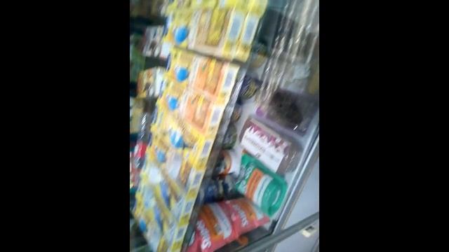 С Рождеством!Мой живой уголок растет!