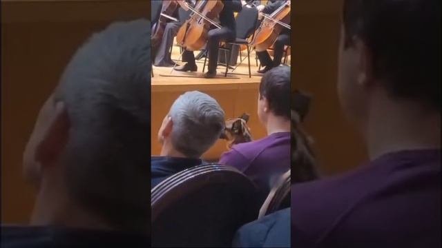 Классика и Пёс...