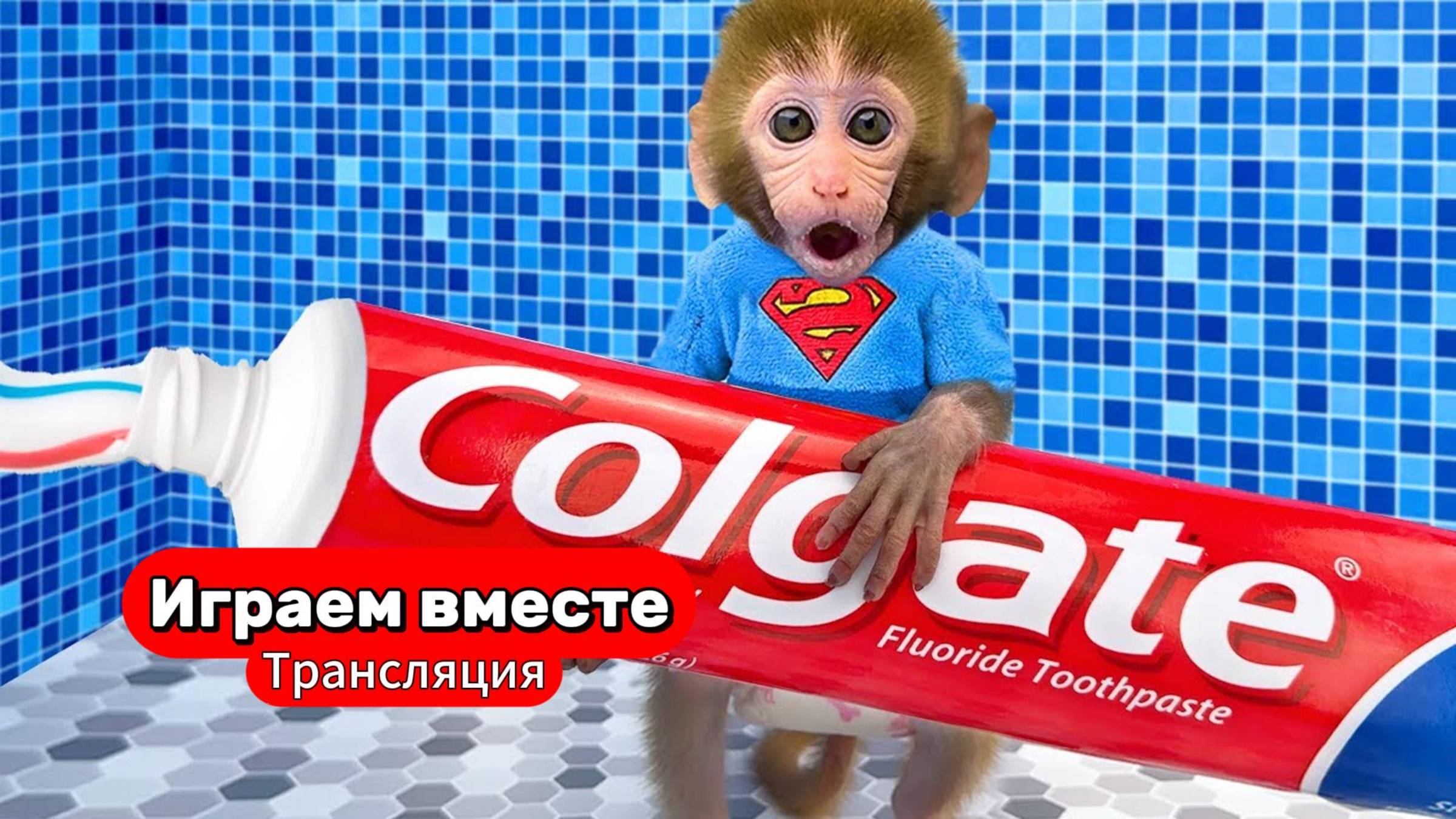 Вместе с Обезьянкой идем в Хозяйственный магазин 🐒 Видео для детей ЧАСТЬ 2