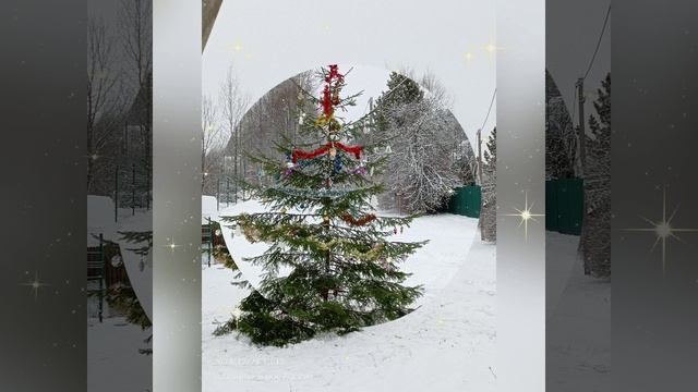 елочка