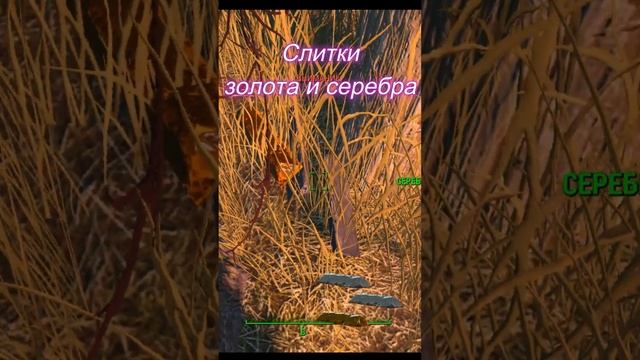 Золото, серебро и ядерный блок в начале Фаллаут 4 #stalker #игры #games  #fallout4 #секрет #сталкер