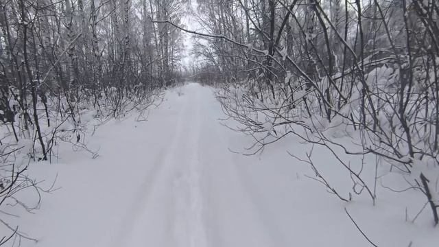 Шарлыкская пасатка зимой