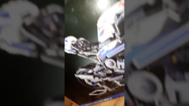 scene_output.mp4