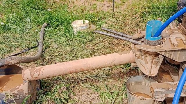 Абиссинская скважина на обводненном суглинке