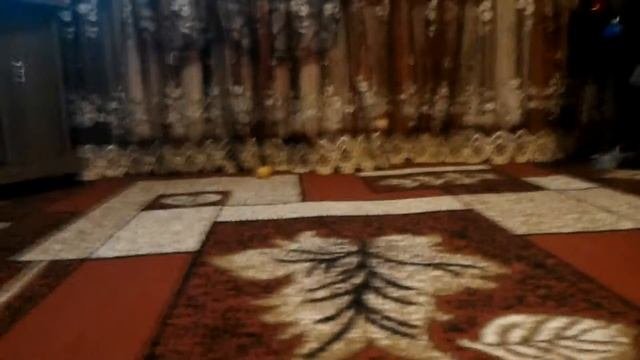 Котёнок Феликс