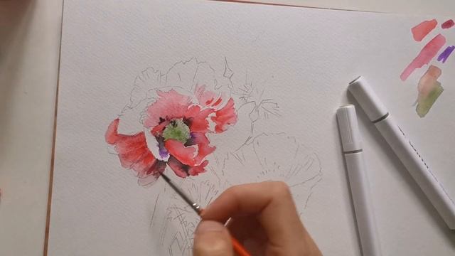Мастер Класс Акварельными Фломастерами. Как нарисовать мак акварелью