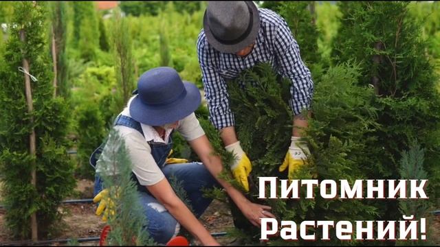 АРЕНДА ОТ СОБСТВЕННИКА