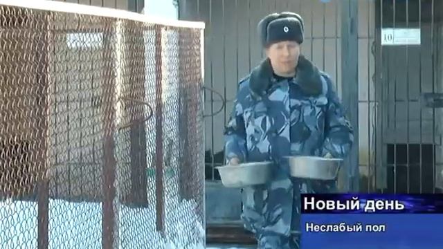 В новотроицкой колонии работает единственная женщина – кинолог.