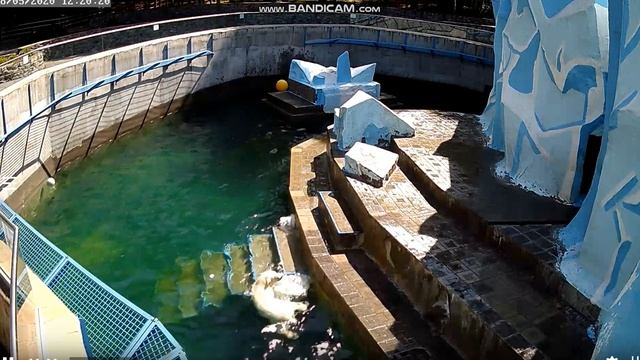 Как хорошо плавать с мамочкой! 08.05.2020