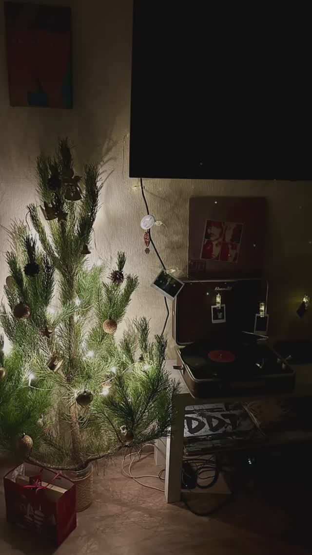 Почему в тренде живая сосна🎄на Новый год 🎅