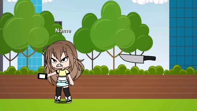 lv_0_20241230203737.mp4