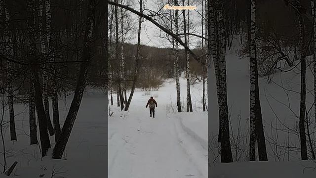 Самый весёлый стихоплёт в зимнем лесу 😄🌳❄️🖊️