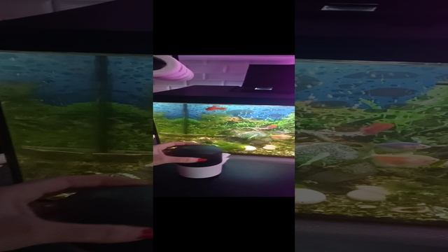 1000108833.mp4