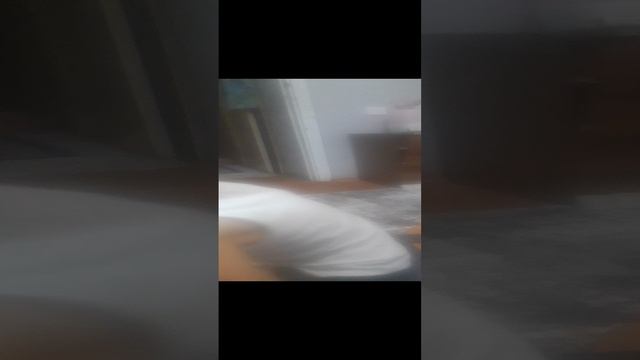 30-12-2024 Можно я с тобой сплю под гитару 30 декабря 2024 год