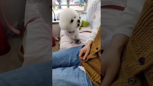 1000069817.mp4