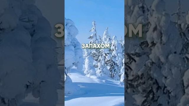 Давай прочувствуем это вместе 🫂