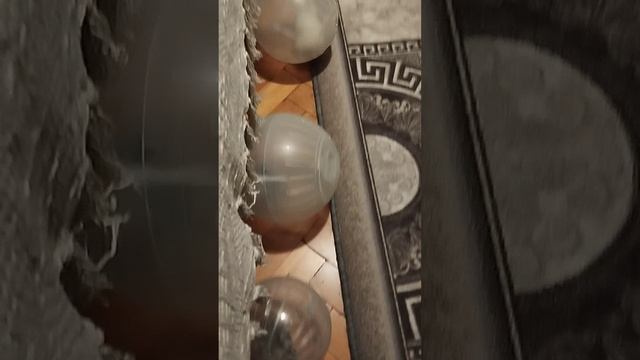Хомяки в прогулочных шарах