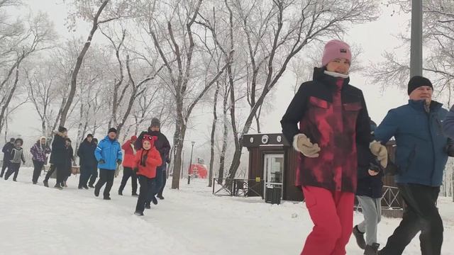 29 ноября 2020 г.