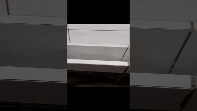 1000000080.mp4