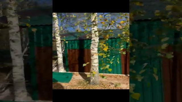 гараж металлический 5х12