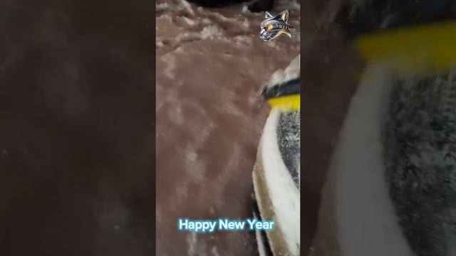 С наступающим новым годом! Happy New Year!