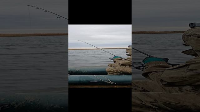 1000016704.mp4