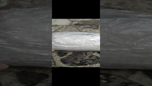1000025068.mp4