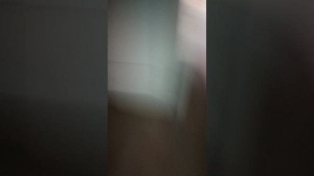 LOL