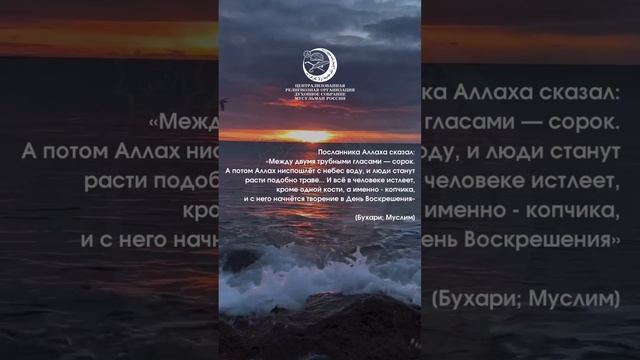 Аят #shorts