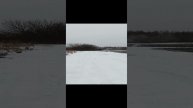 1000034734.mp4
