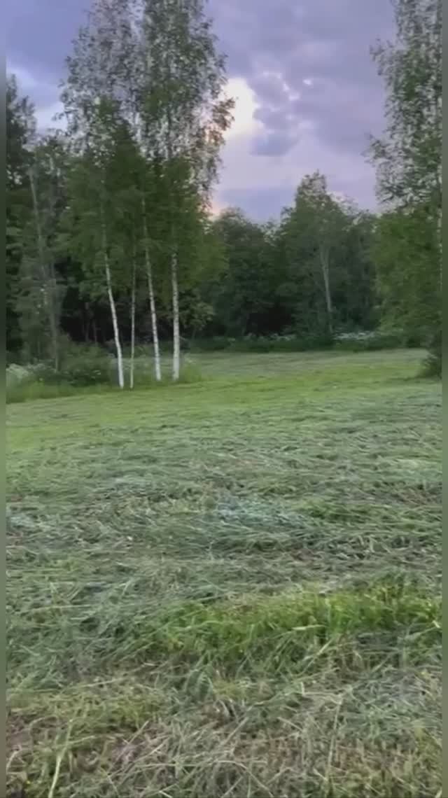 509 участок