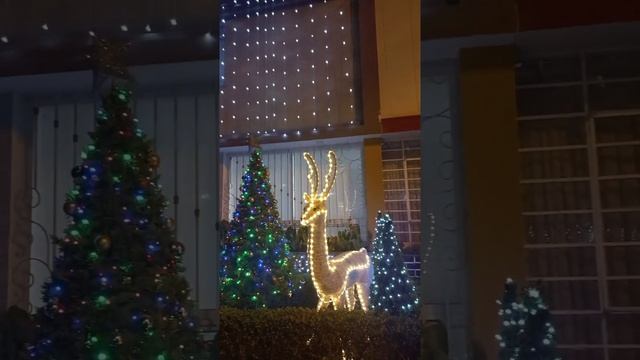 Рождественские инсталяции!