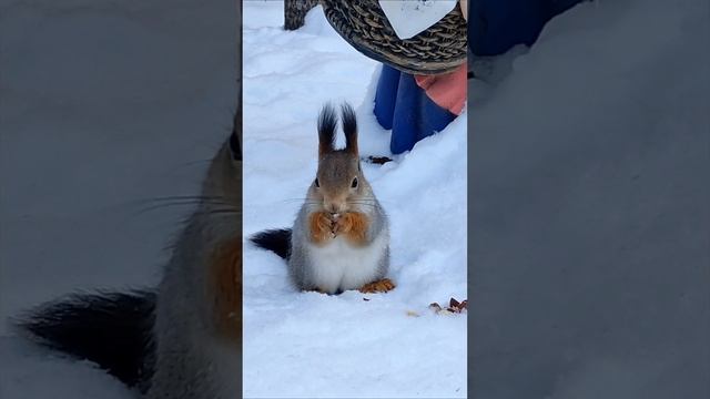 1000101397.mp4