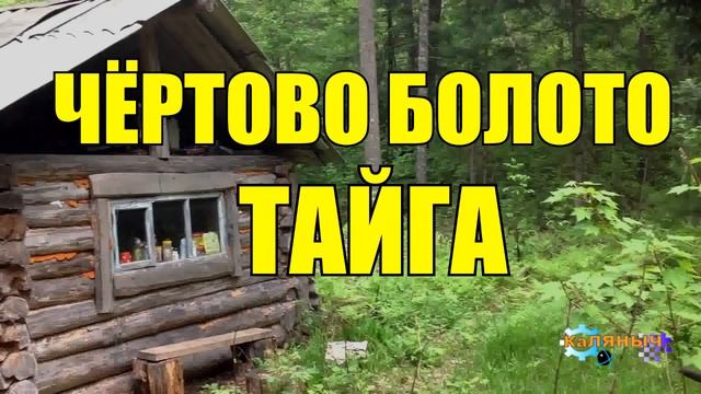 БАБУШКИ ЗАБЛУДИЛИСЬ В ЛЕСУ _ КЛЮКВА НА БОЛОТЕ _ ЧЁРТОВ УГОЛ