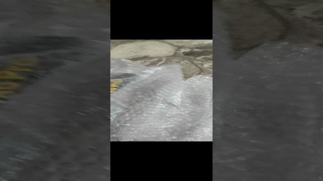 1000025070.mp4