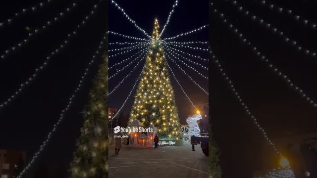 Всех с наступающим Новым Годом!!! 2025 💯🇷🇺🌲❄️☃️