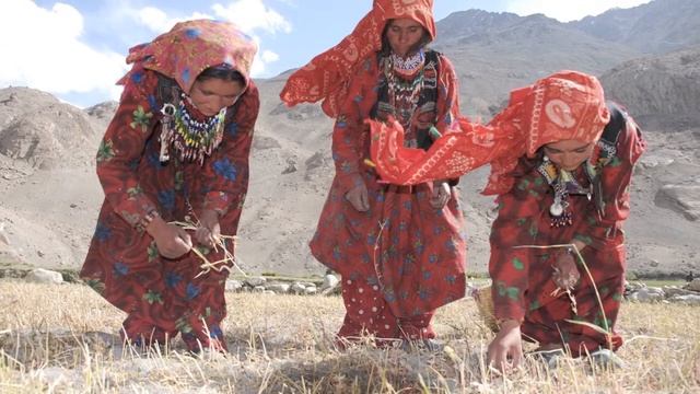 Wakhan Trekker