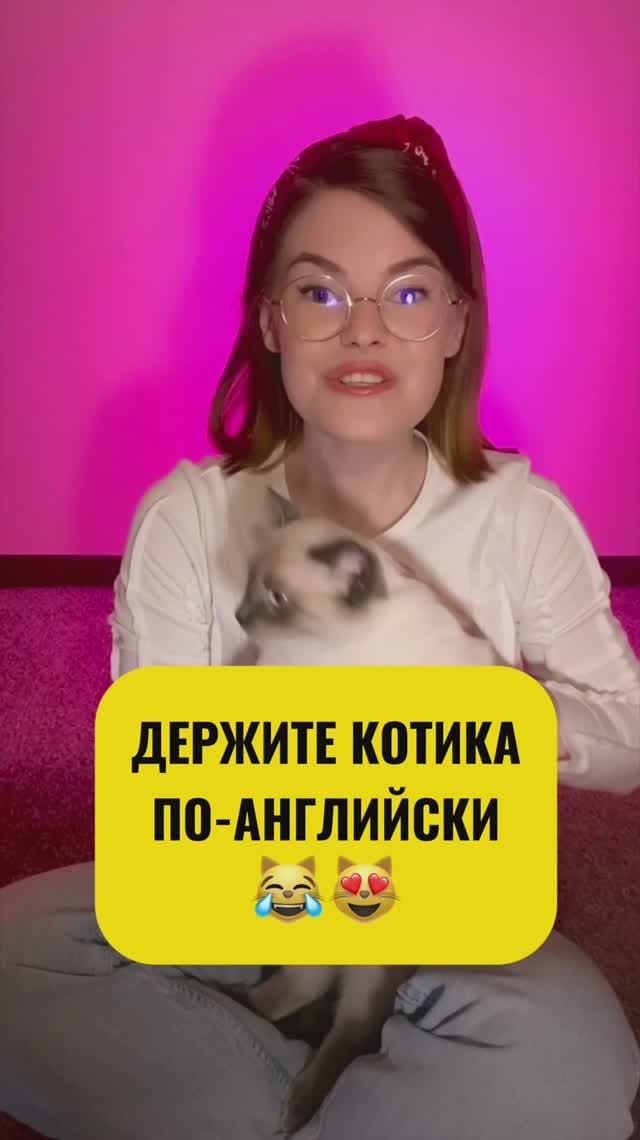 Предупреждаю! После просмотра этого видео захочется погладить котика.🐈