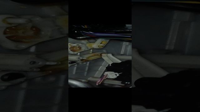 1000007621.mp4