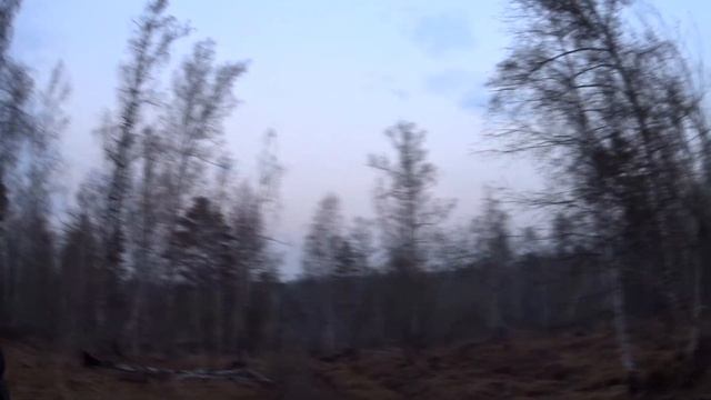 Весенняя охота 2017 "вальдшнеп на тяге"