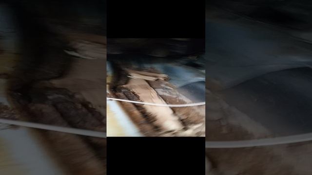 1000014157.mp4