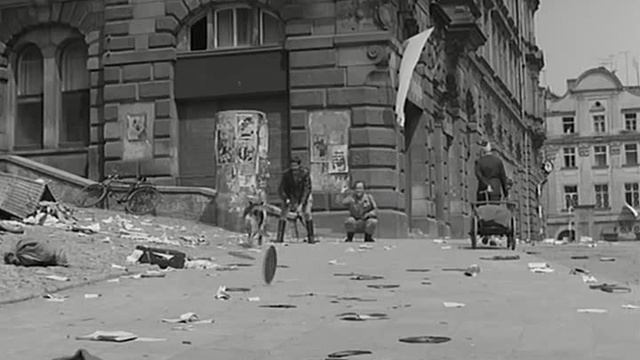 18. Кольца (Pierścienie)