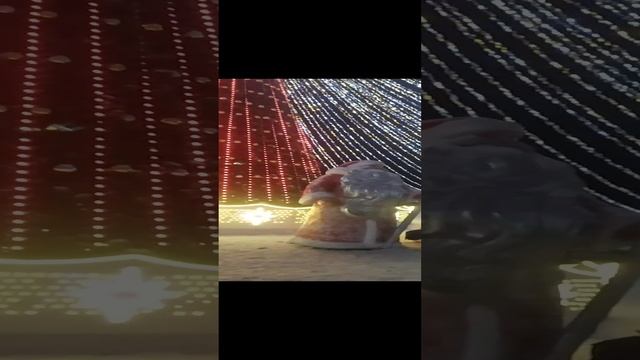 гуляем по Ульяновску