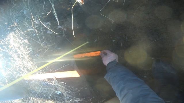 Intronik STF 13"DD 5/40 vs Equinox 800 11"DD vs Deus 11"DD тест по дирхему Джанибека в Рязани 18+