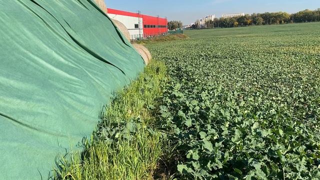 Мысли насчёт бизнеса в сельском хозяйстве, о фермерстве, а также немного о прудах и фонтанах Лелаф