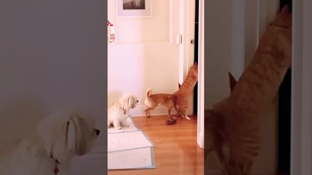 1000069784.mp4